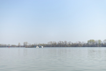 Danube River With Forest In The Background On The Sunny Day