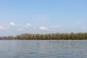 Danube River With Forest In The Background On The Sunny Day