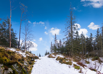 Bergen Mt Floyen, Norway. Forest snow landscape with hiking trail in winter.