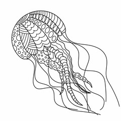 linear jellyfish on a white background