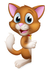 A cat cartoon pet kitten cute animal character peeking around a sign and pointing at it.