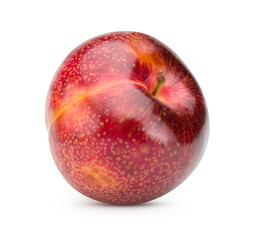 Red plum isolated on white with clipping path.