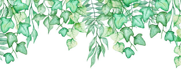 Long banner with hand drawn watercolor leaves and ivy - obrazy, fototapety, plakaty
