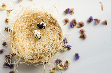 Naklejka premium quail eggs in a nest