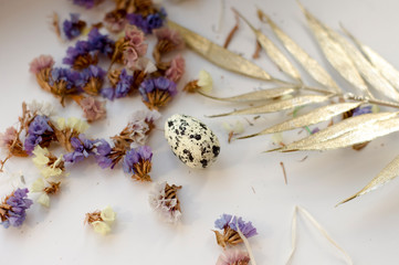  one quail egg on a background of flowers. Background for Easter
