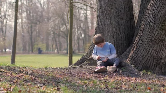 Little boy kid play alone sit under the tree on park ground watch geather some wooden sticks nature cognition