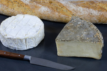 saint-nectaire et camembert (fromage français)