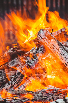 Firewood on fire. Bright flame. Varash. March