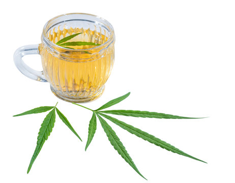 Marijuana herbal hemp tea with green cannabis leaves  in cup glass and two green cannabis leaves isolated on white background. 