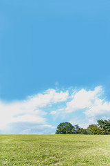 Fototapeta na wymiar 雲と青空を背景にした緑の丘。背景用素材