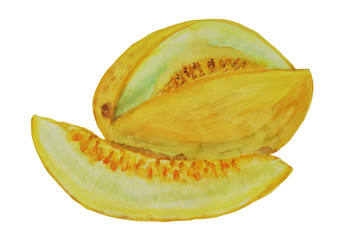 watercolor ripe melon isolated on white background