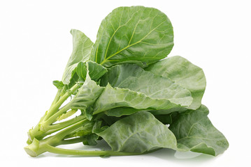 Chinese broccoli Plant isolated on white background