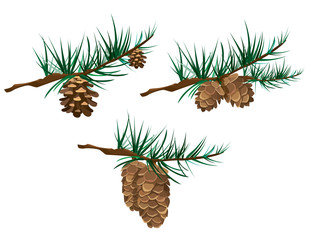 Set of cones on branches. Vector illustrations in cartoon style.