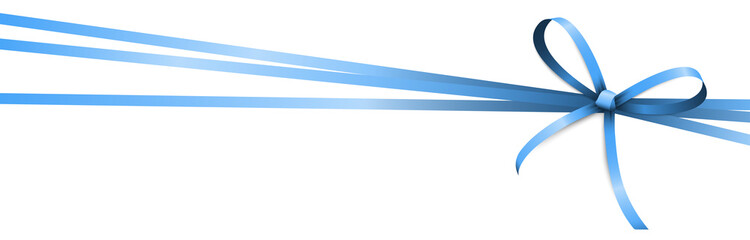 blue colored ribbon bow