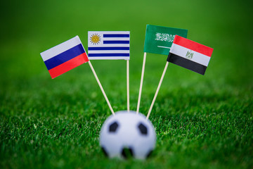 National Flags of Russia, Saudi Arabia, Egypt, Uruguay. Flags on green grass on football stadium