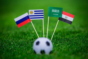 National Flags of Russia, Saudi Arabia, Egypt, Uruguay. Flags on green grass on football stadium