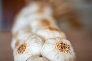 Close-up of a string of garlic.Excellent and obligatory complement to stew, stir-fry, cook, cook and make other succulent culinary dishes