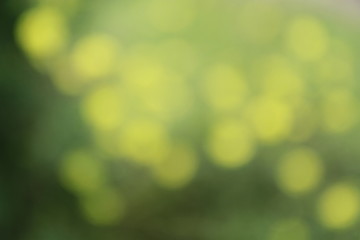 Obraz premium abstract green and yellow bokeh background