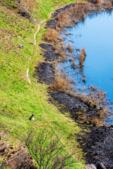 The burnt shore of the lake. Top view.