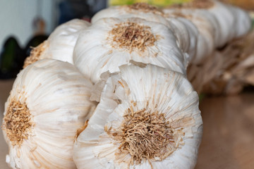 Close-up of a string of garlic.Excellent and obligatory complement to stew, stir-fry, cook, cook and make other succulent culinary dishes