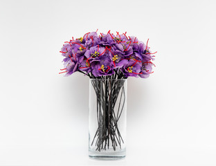 Saffron Flowers in glass vase on white background.High resolution photo.