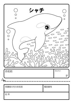 シャチ　ぬりえ　応募用紙　coloring picture Orcinus orca Character illustration