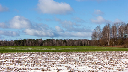 The surroundings of Grodno. Belarus. Spring landscape. March snow covers green fields and plowed...