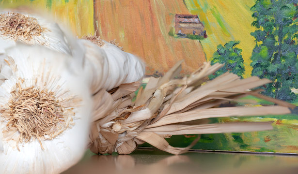 Close-up of a string of garlic.Excellent and obligatory complement to stew, stir-fry, cook, cook and make other succulent culinary dishes
