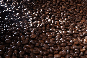 background texture of coffee beans with a ray of light