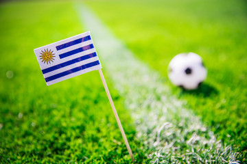 Uruguay national Flag and football ball on green grass. Fans, support photo, edit space