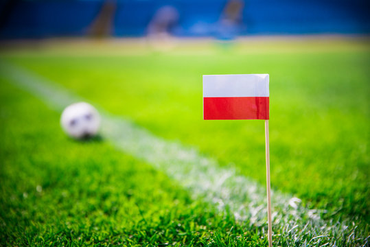 Poland national Flag and football ball on green grass. Fans, support photo, edit space