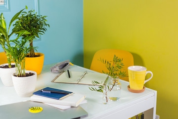 Office with bright walls. Stationery and flowers on the table