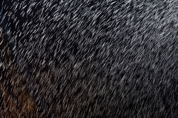 abstract rain texture background. background rain in night light