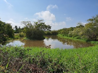 açude lago 