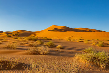 Dunes in Rub al Khali the empty quarter between Oman and Saudi Arabia near Salalah