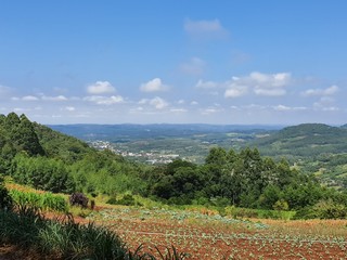 horizonte urbano