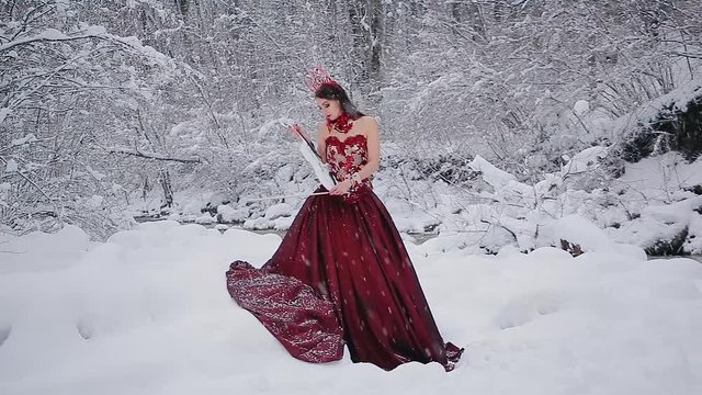 Portrait charming amazing cute young woman in fairy tale image in red royal dress with white violin stands on snow in winter forest with river with falling snow flakes