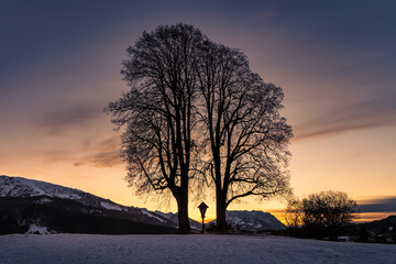 Naturdenkmal Wimmerkreuz im Abendlicht in Reit im Winkl