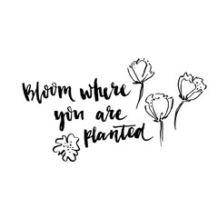 Bloom where you are planted phrase. Ink illustration. Modern brush calligraphy. Isolated on white background.