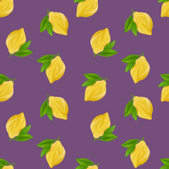 A seamless lemon pattern on purple background. The seamless pattern of fresh citrus fruit lemons with green leaves. Hand drawn gouache painting