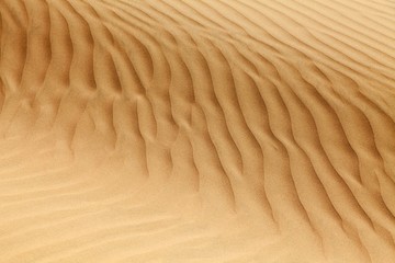 Fototapeta na wymiar desert sand dunes, sand waves on Cerro Blanco sand dune