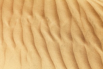 desert sand dunes, sand waves on Cerro Blanco sand dune