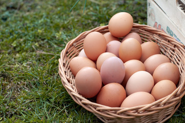 Fresh farm products - eggs.