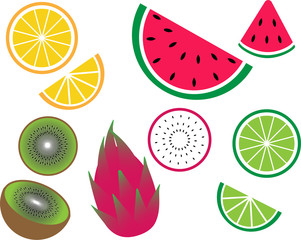 Collage of exotic fruits vector illustration