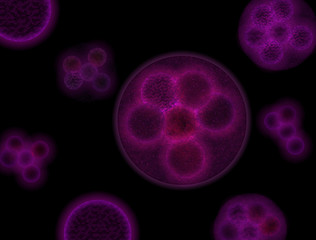 cell divide, virus, cell, bacteria, grem - 332421003