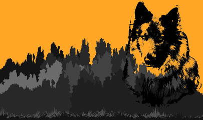 isolated graphic monochrome portrait of a wolf against a dark forest background