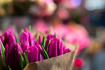 Tulpen in pink