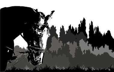 isolated graphic monochrome portrait of a horse against a dark forest background  © Viktoria Suslova