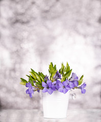 Bunch of beautiful spring flowers in a bucket