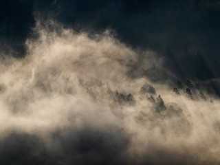 Obraz premium Nebellandschaft im Nationalpark Sächsische Schweiz